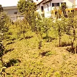 Lejlighed Fields