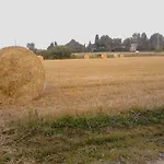 Lejlighed Fields