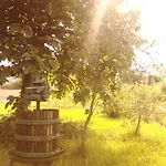 Fields