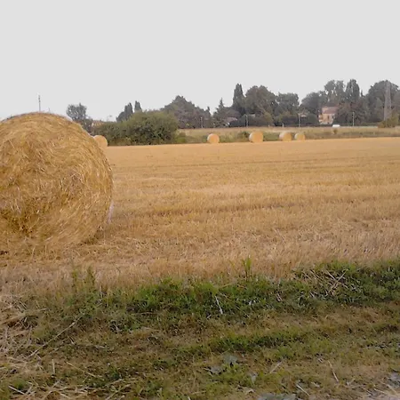 Διαμέρισμα Fields