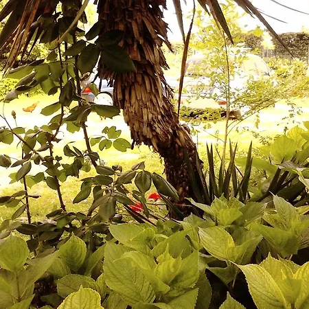 Apartament Fields Padwa