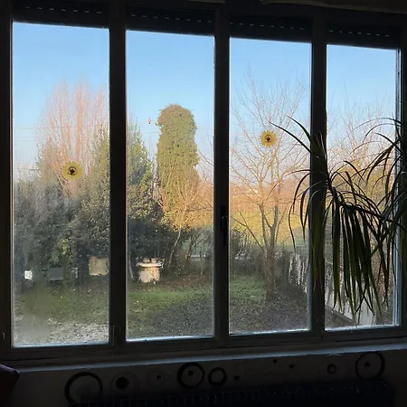 Fields Padua