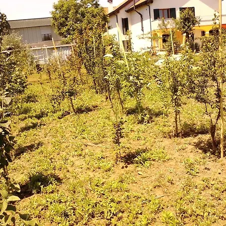 Apartamento Fields