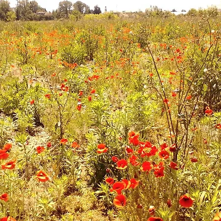 Apartamento Fields *