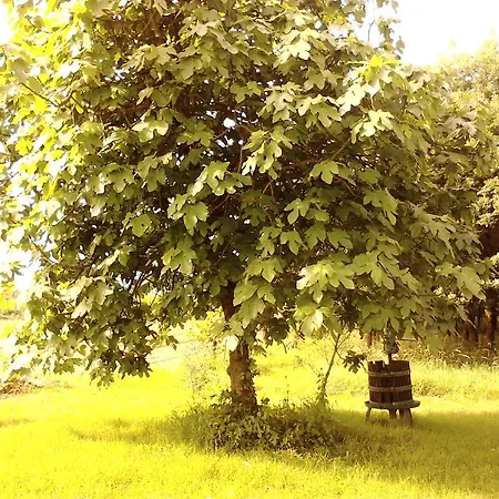 Apartamento Fields *