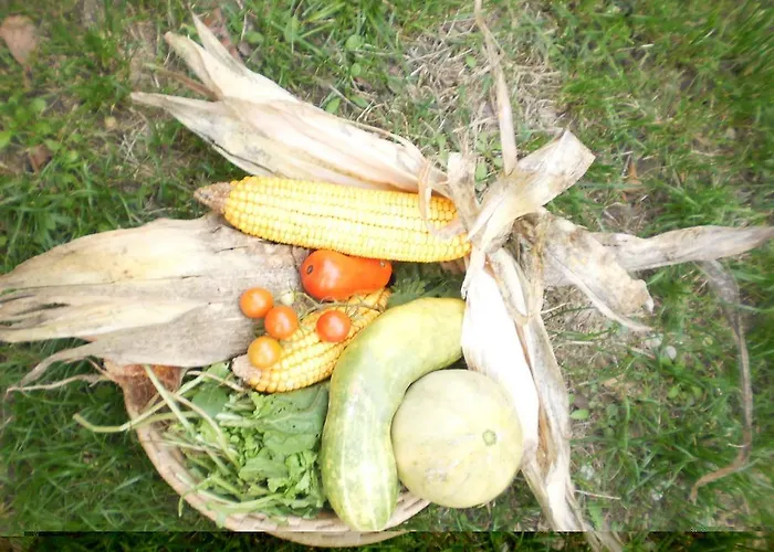 Fields Апартаменты *