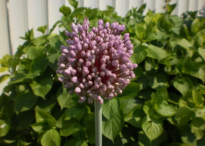 Appartamento Fields Padova