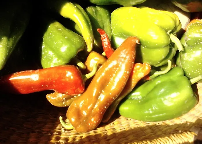 Appartamento Fields Padova