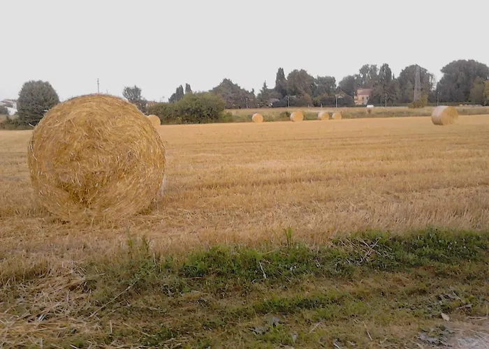 Апартаменты Fields