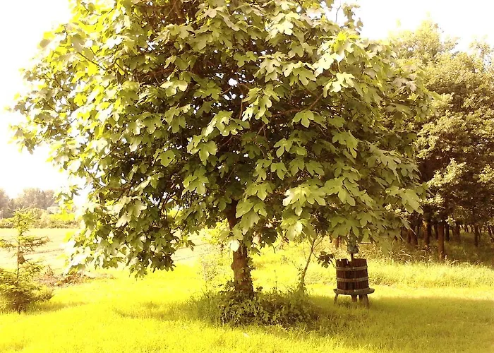 Appartamento Fields *