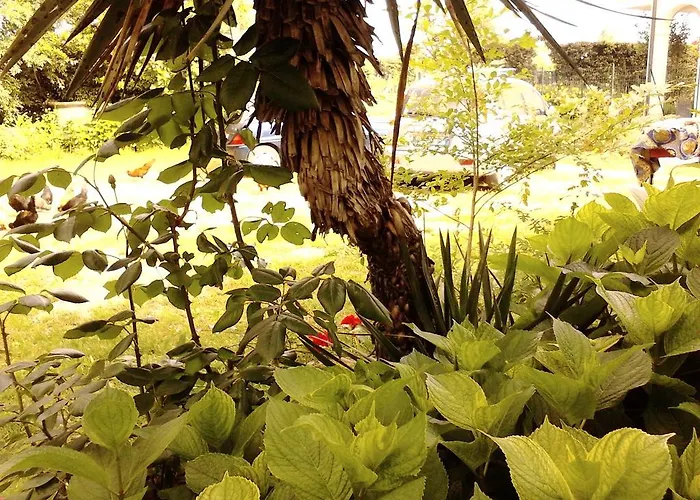 Апартаменты Fields Падуя